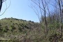 Fort Dorsner